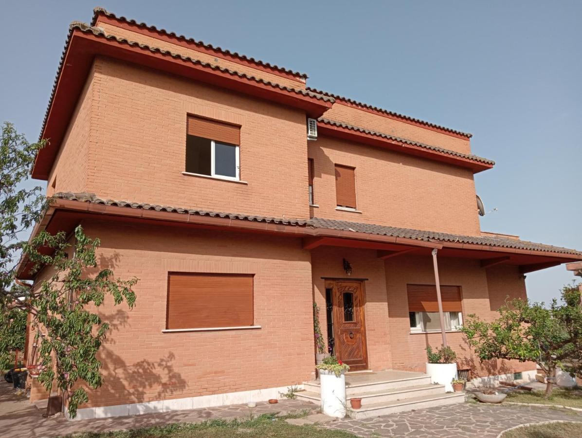 Da Piero E Gina Hotel Palidoro Exterior foto