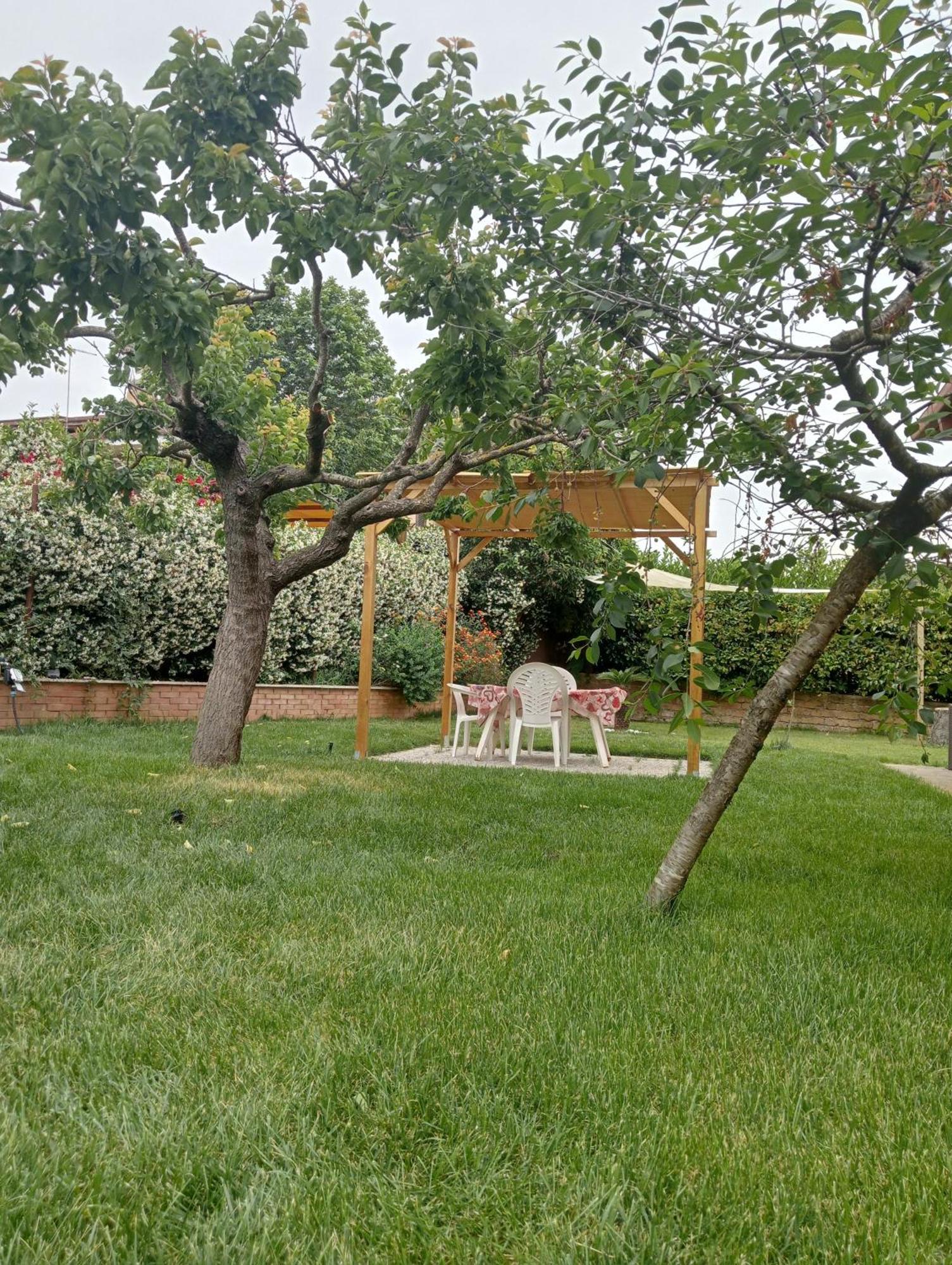 Da Piero E Gina Hotel Palidoro Cameră foto